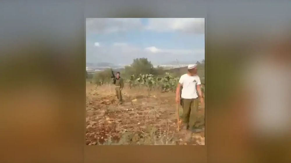 Столкновения между палестинцами и поселенцами в Самарии
